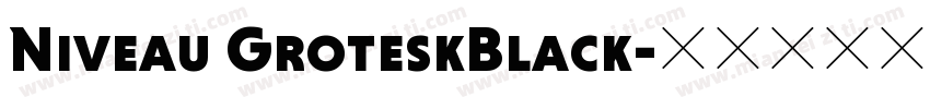 Niveau GroteskBlack字体转换